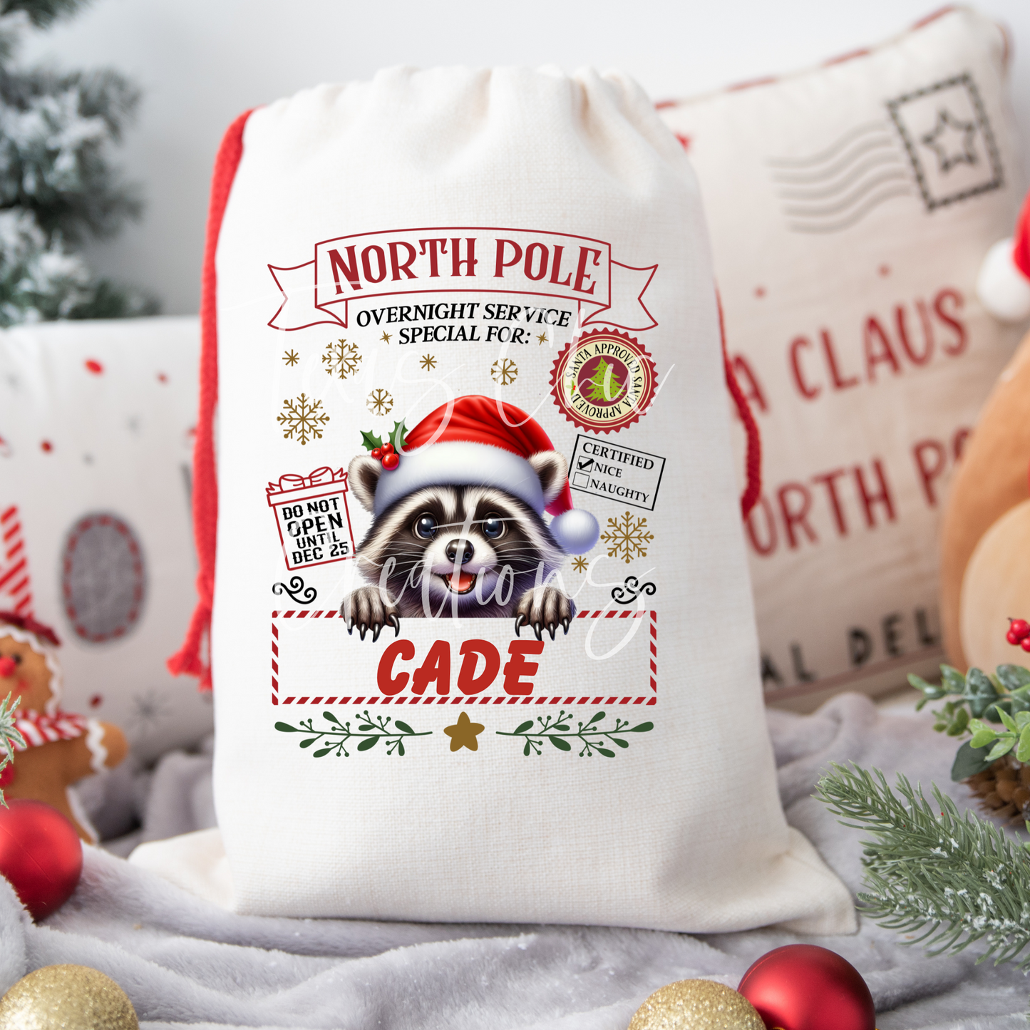 Raccoon Santa Sack
