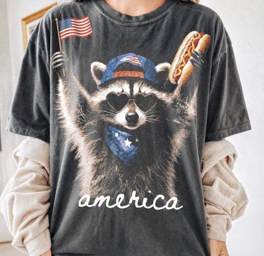 America Raccoon