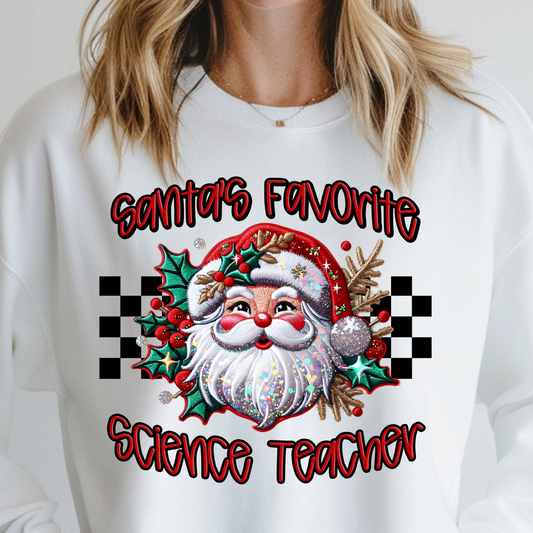 Santa’s Favorite Science Teacher