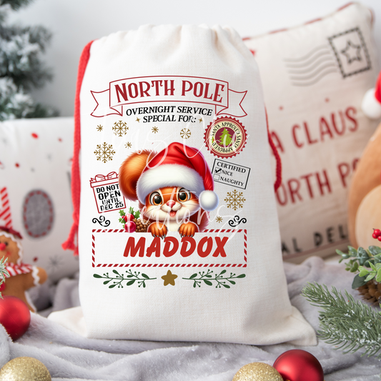Squirrel Santa Sack