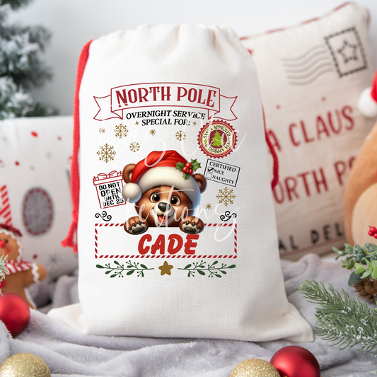 Bear Santa Sack